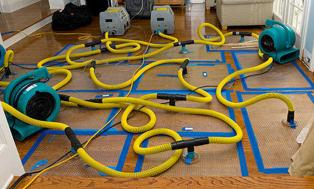 Professional Flood Damage Restoration technician working in Pisgah Forest, NC